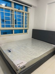 spring-lodge photo thumbnail #10